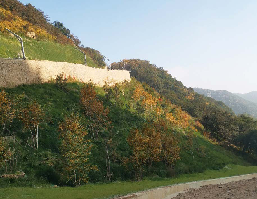 613b178a571a6.png 第31页-152 副本.png